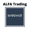 ALFA Trading Ausbildung erfahrungen